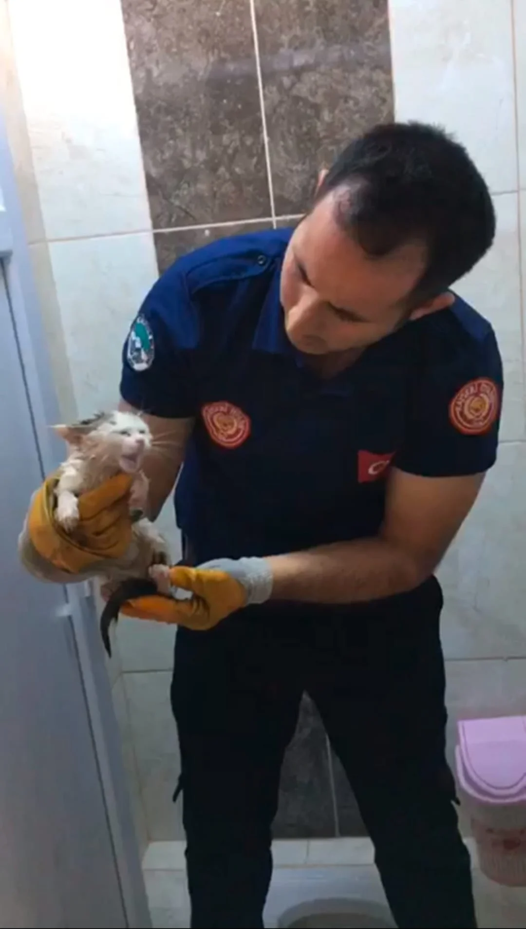 BÜYÜKŞEHİR İTFAİYESİ, TUVALET GİDERİNE SIKIŞAN MİNİK KEDİYİ KURTARDI