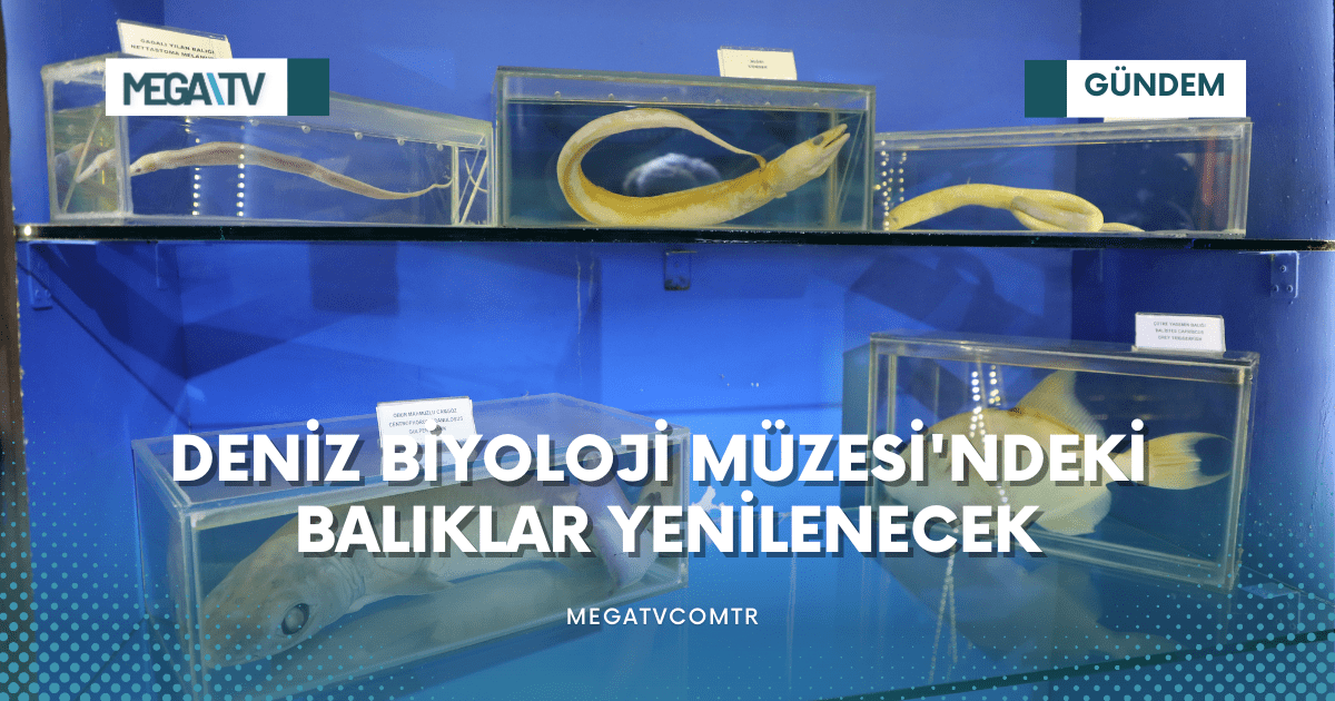 DENİZ BİYOLOJİ MÜZESİ’NDEKİ BALIKLAR YENİLENECEK