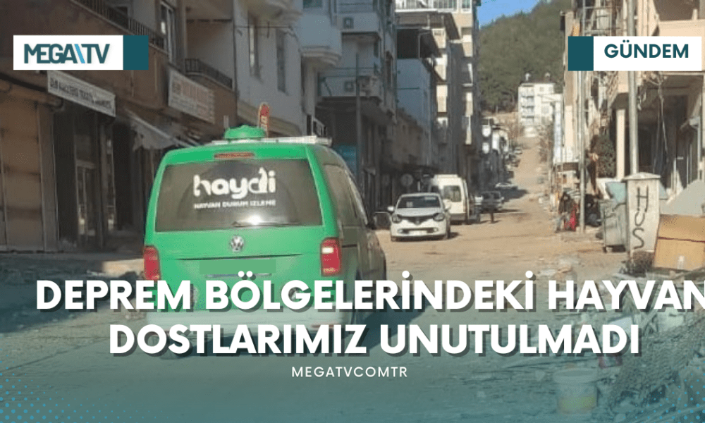 DEPREM BÖLGELERİNDEKİ HAYVAN DOSTLARIMIZ UNUTULMADI - Mega TV iki satırlı haberler (2)