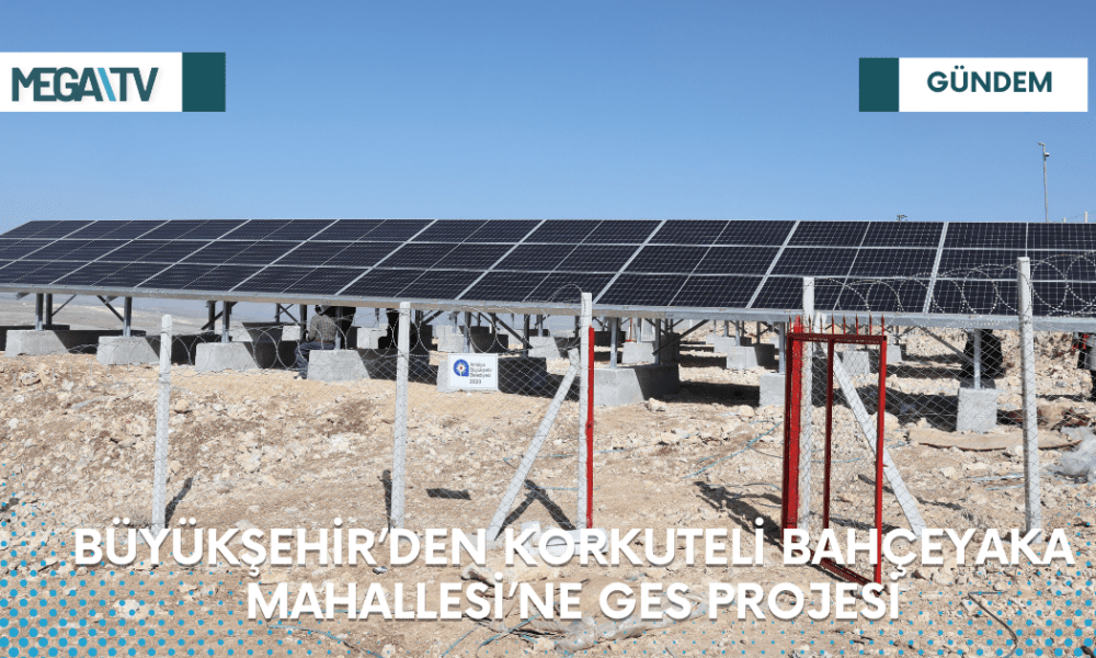 Web Haber Şablon - 2023-03-16T153024.490