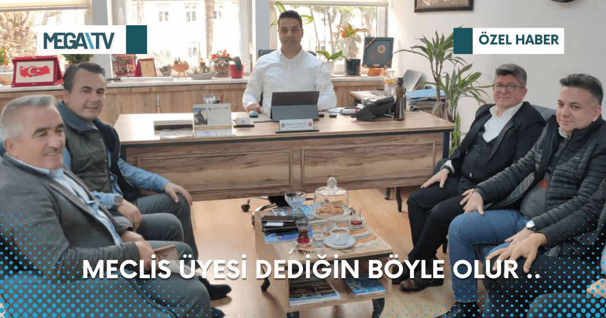 Meclis Üyesi Dediğin Böyle Olur…