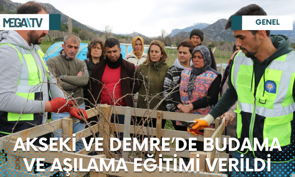 AKSEKİ VE DEMRE’DE BUDAMA VE AŞILAMA EĞİTİMİ VERİLDİ - Mega TV Web Haber Şablon - 2023-03-23T131119.759