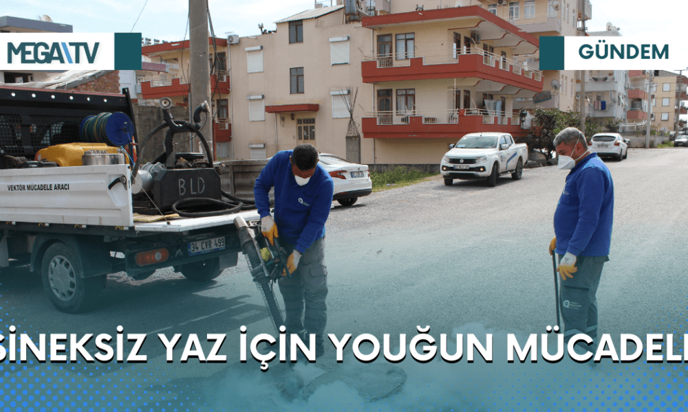 SİNEKSİZ YAZ İÇİN YOUĞUN MÜCADELE - Mega TV Web Haber Şablon (64)
