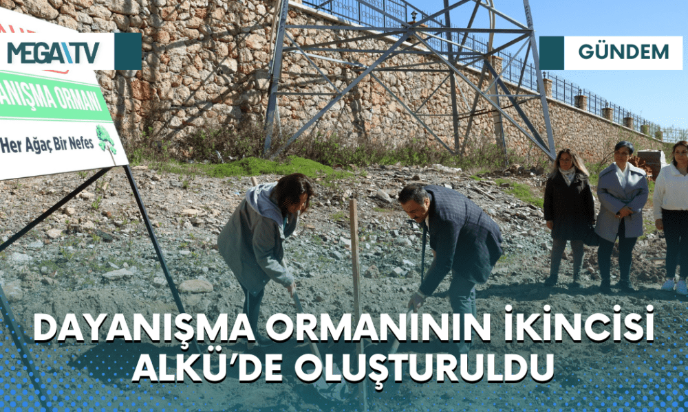 Web Haber Şablon (65)
