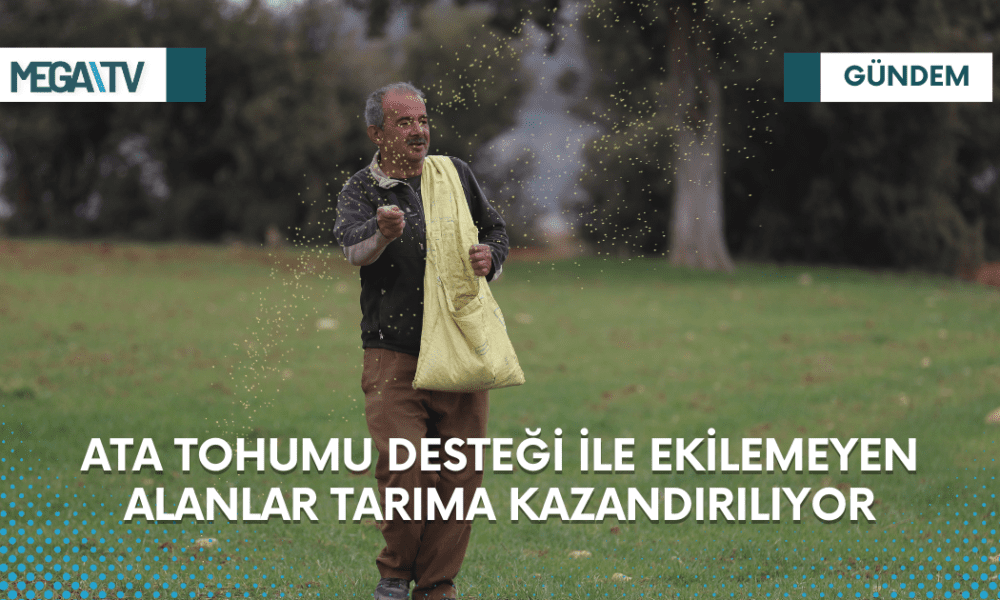 Ata tohumu desteği ile ekilemeyen alanlar tarıma kazandırılıyor - Mega TV Web Haber Şablon (8)