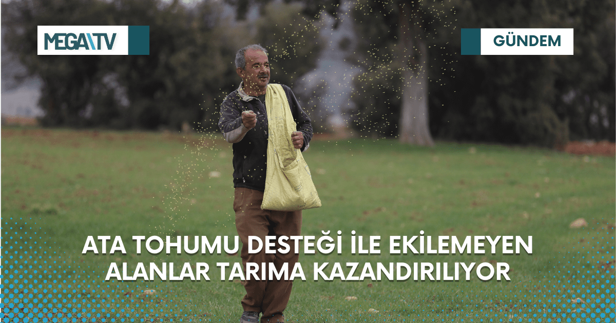 Ata tohumu desteği ile ekilemeyen alanlar tarıma kazandırılıyor