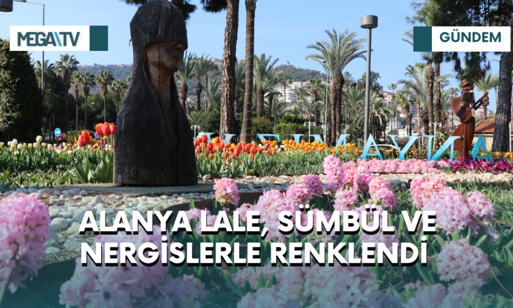 ALANYA LALE, SÜMBÜL VE NERGİSLERLE RENKLENDİ - Mega TV iki satırlı haberler (43)
