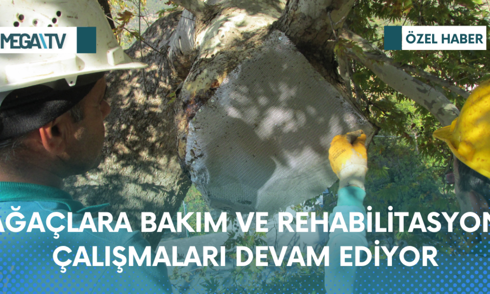 Web Haber Şablon - 2023-04-05T151112.032