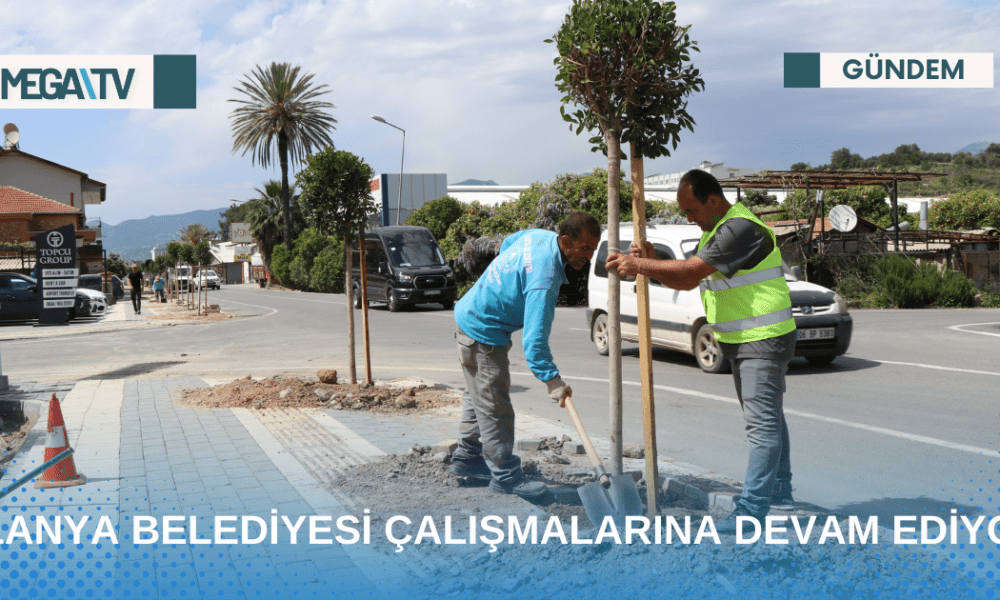 ALANYA BELEDİYESİ ÇALIŞMALARINA DEVAM EDİYOR - Mega TV Web Haber Şablon - 2023-04-26T123231.667