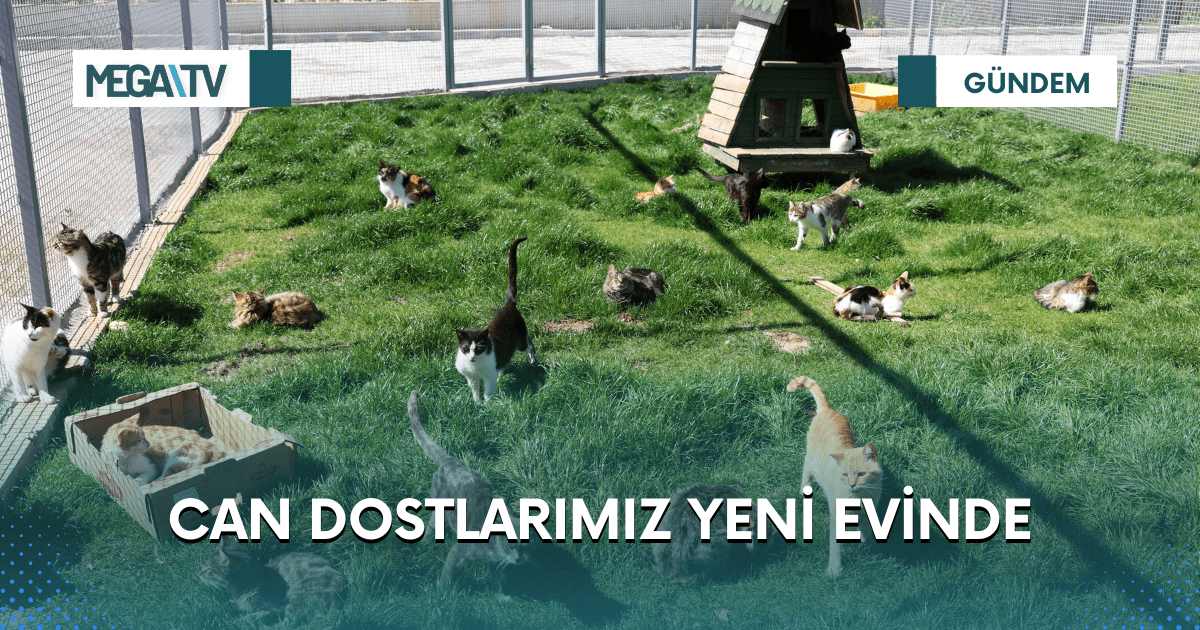 CAN DOSTLARIMIZ YENİ EVİNDE
