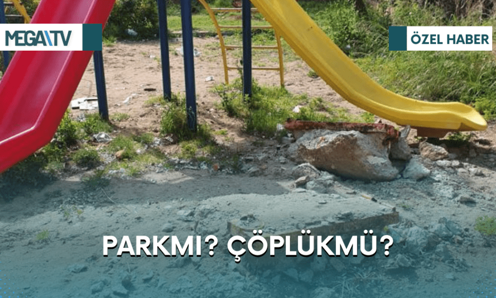 Web Haber Şablon (85)