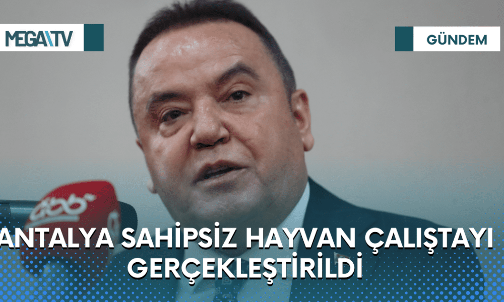 ANTALYA SAHİPSİZ HAYVAN ÇALIŞTAYI GERÇEKLEŞTİRİLDİ - Mega TV Web Haber Şablon (91)