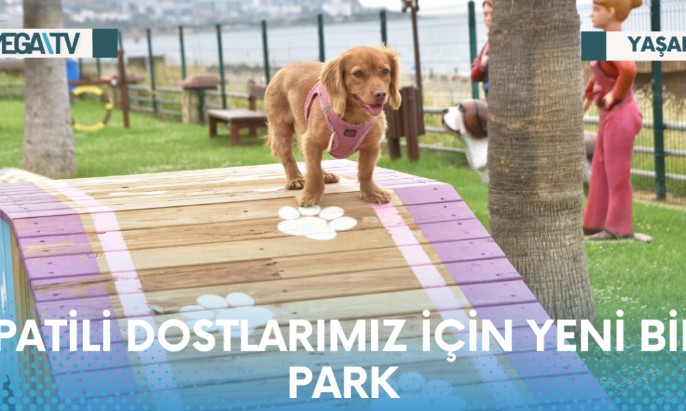 PATİLİ DOSTLARIMIZ İÇİN YENİ BİR PARK - Mega TV Web Haber Şablon - 2023-05-22T162844.148