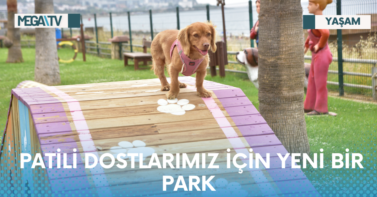 PATİLİ DOSTLARIMIZ İÇİN YENİ BİR PARK