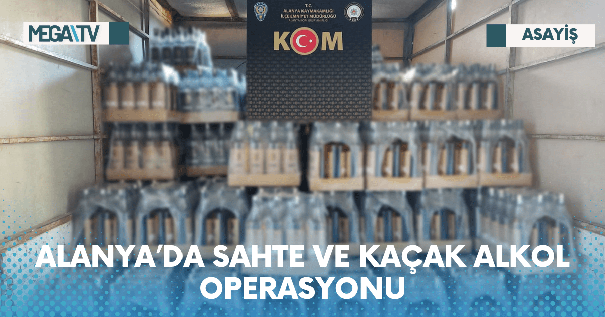 Web Haber Şablon - 2023-05-24T171134.418