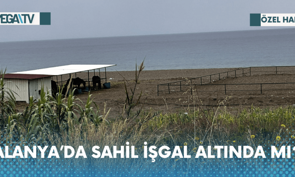 ALANYA’DA SAHİL İŞGAL ALTINDA MI? - Mega TV Web Haber Şablon - 2023-05-29T180936.106