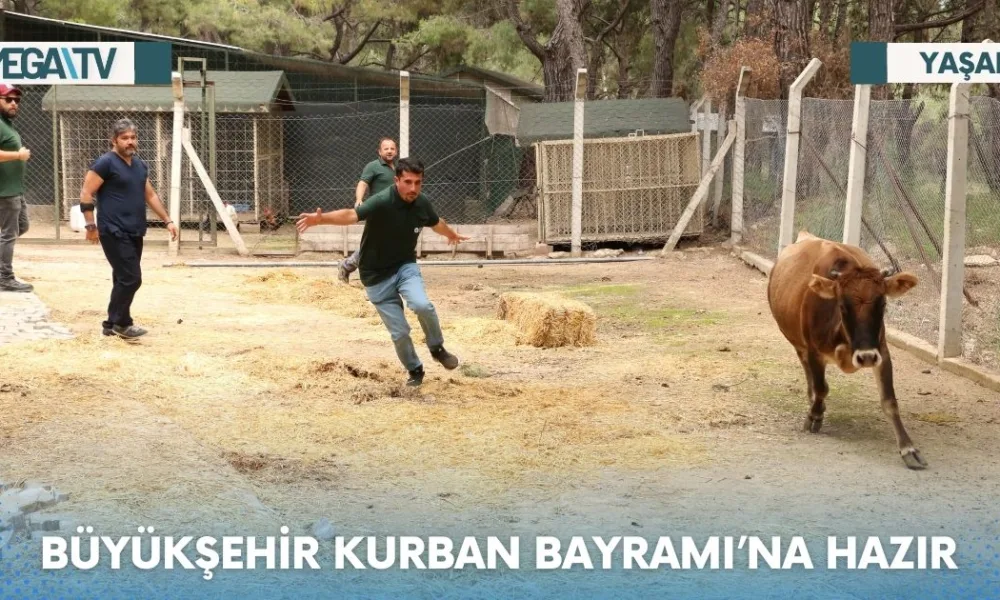 Web Haber Şablon (18)