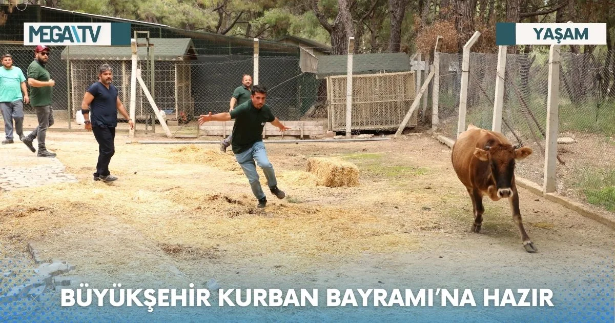 BÜYÜKŞEHİR KURBAN BAYRAMI’NA HAZIR