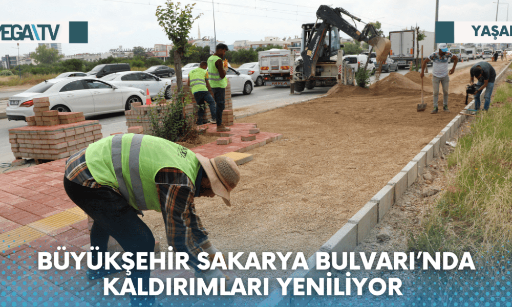 Web Haber Şablon - 2023-06-06T143836.729