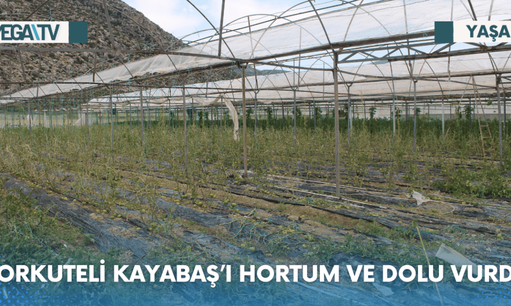 KORKUTELİ KAYABAŞ’I HORTUM VE DOLU VURDU - Mega TV Web Haber Şablon - 2023-06-14T133331.557