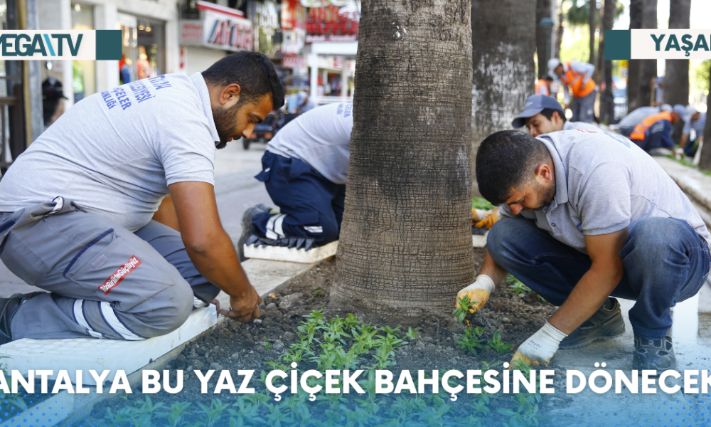 Web Haber Şablon - 2023-06-15T175551.397
