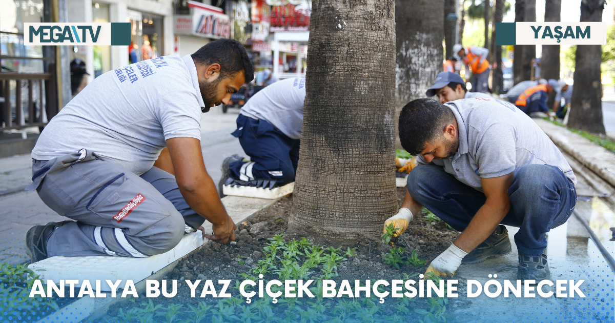 ANTALYA BU YAZ ÇİÇEK BAHÇESİNE DÖNECEK