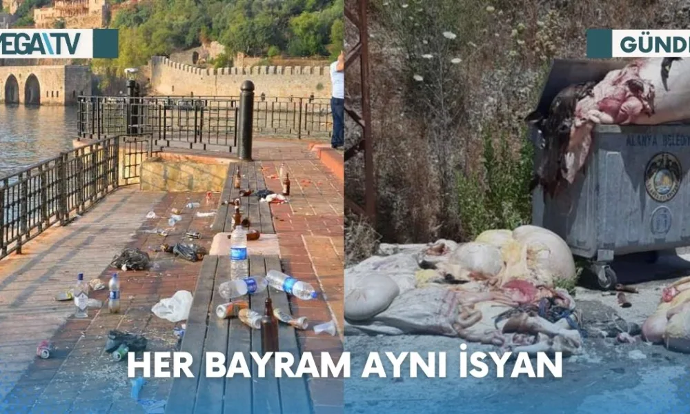 Web Haber Şablon (14)