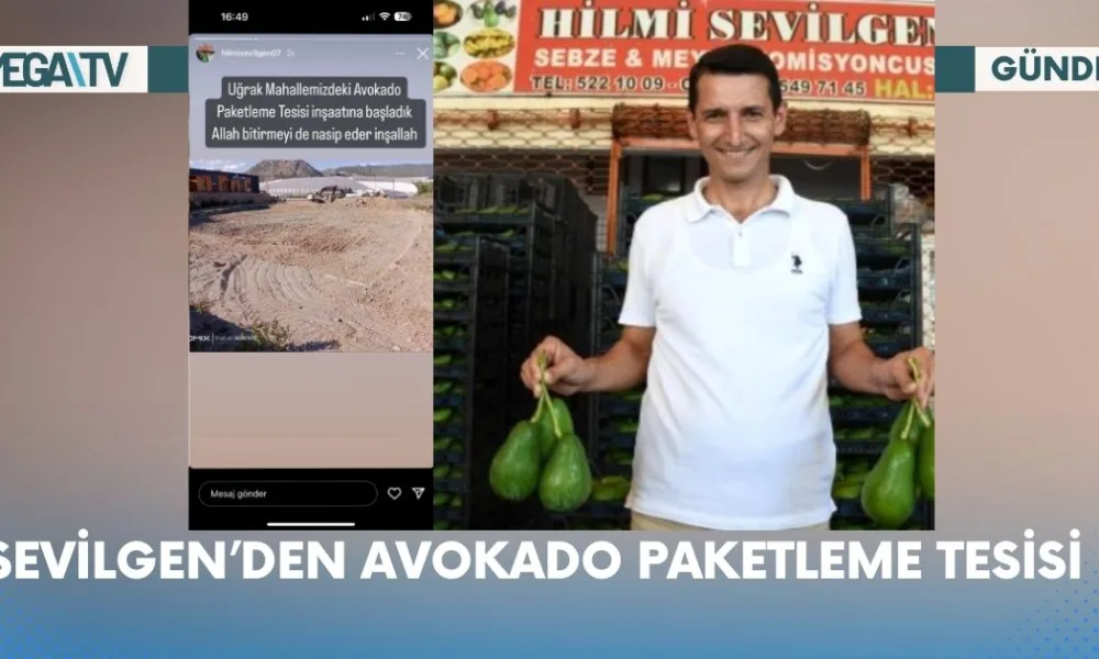 Web Haber Şablon - 2023-07-13T180916.433
