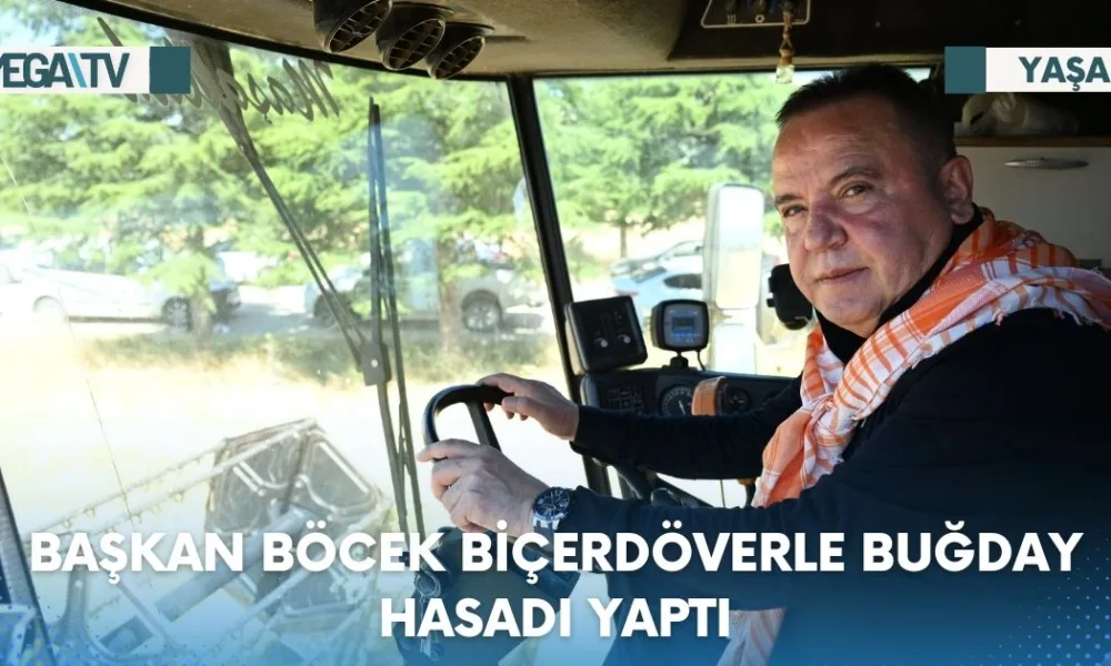 BAŞKAN BÖCEK BİÇERDÖVERLE BUĞDAY HASADI YAPTI - Mega TV Web Haber Şablon - 2023-07-17T165318.834