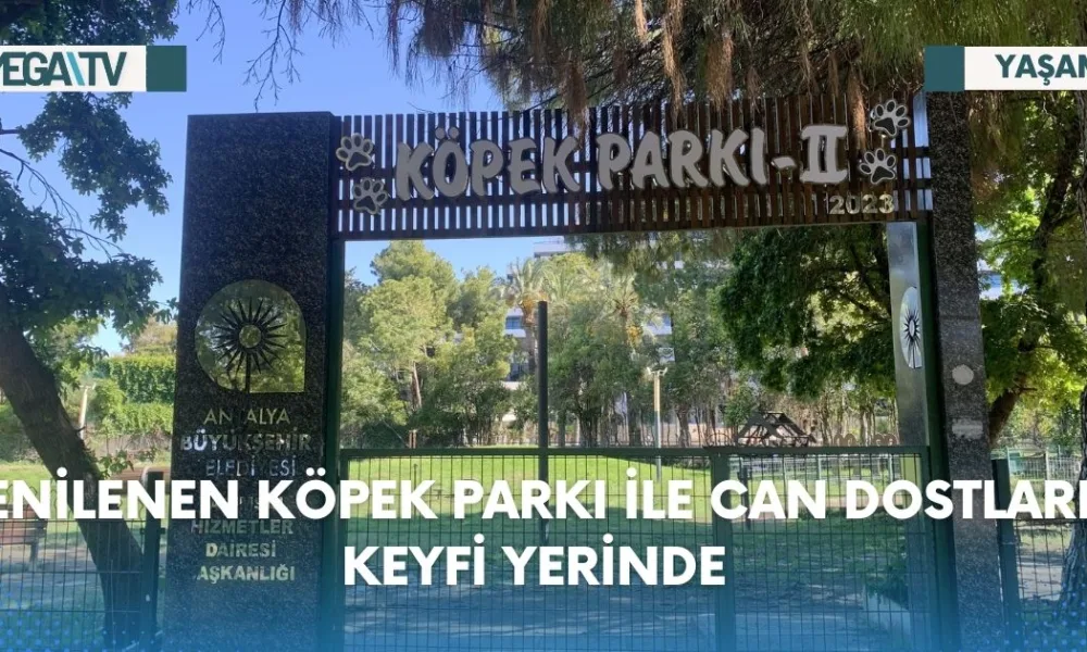 YENİLENEN KÖPEK PARKI İLE CAN DOSTLARIN KEYFİ YERİNDE - Mega TV Web Haber Şablon - 2023-07-18T132834.081