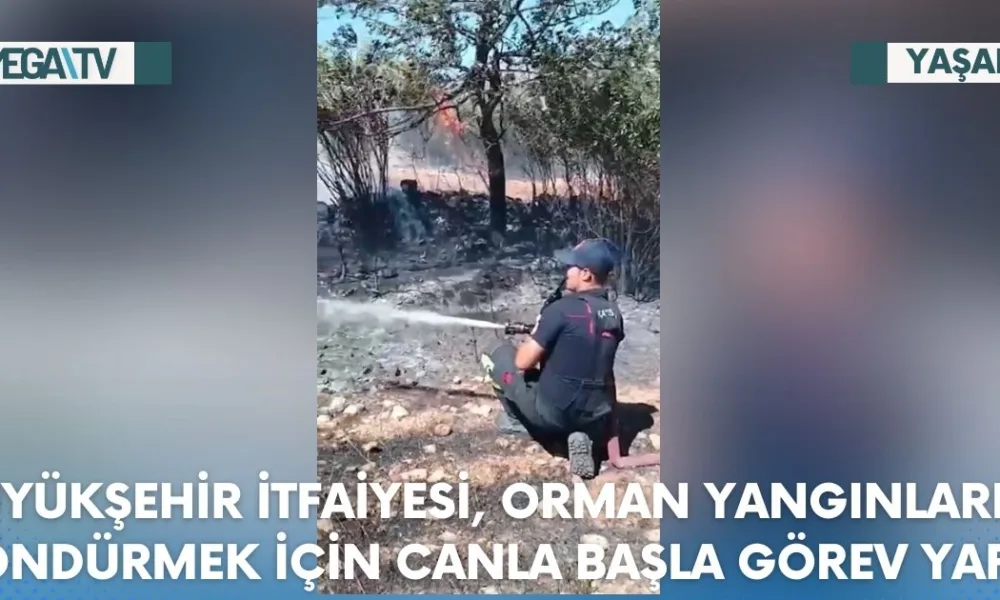 BÜYÜKŞEHİR İTFAİYESİ, ORMAN YANGINLARINI SÖNDÜRMEK İÇİN CANLA BAŞLA GÖREV YAPTI - Mega TV Web Haber Şablon - 2023-07-19T121033.388