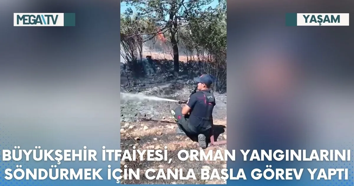 BÜYÜKŞEHİR İTFAİYESİ, ORMAN YANGINLARINI SÖNDÜRMEK İÇİN CANLA BAŞLA GÖREV YAPTI