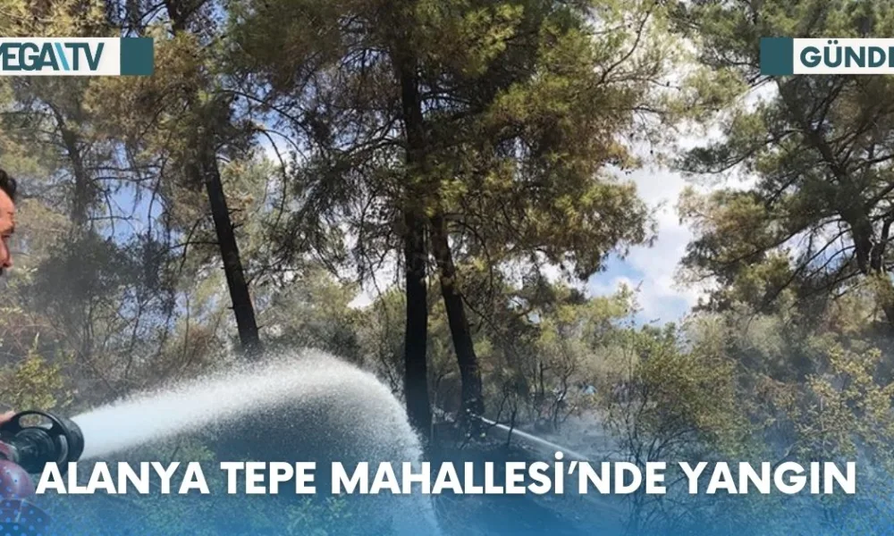 ALANYA TEPE MAHALLESİ’NDE YANGIN - Mega TV Web Haber Şablon - 2023-07-20T170642.295