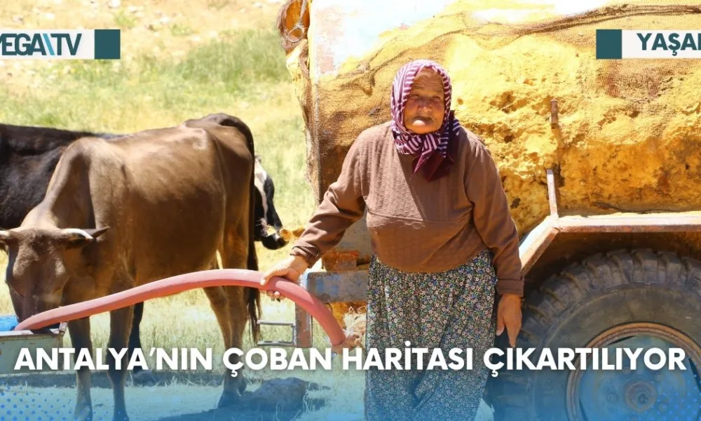 ANTALYA’NIN ÇOBAN HARİTASI ÇIKARTILIYOR - Mega TV Web Haber Şablon - 2023-07-25T160250.809