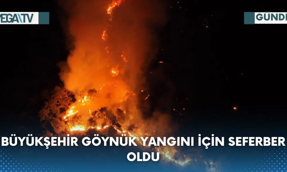 Web Haber Şablon - 2023-07-25T164632.614