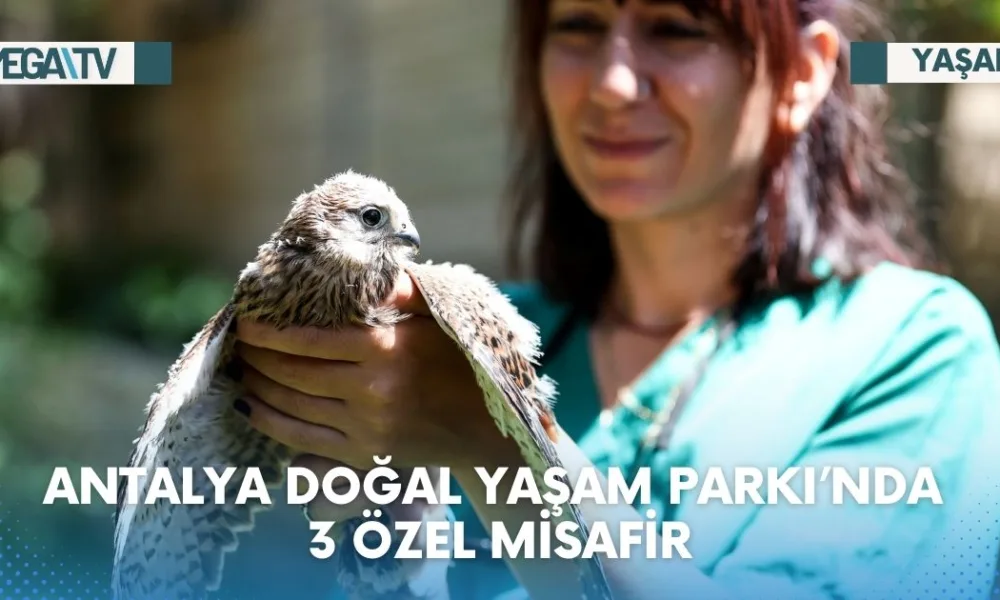 ANTALYA DOĞAL YAŞAM PARKI’NDA 3 ÖZEL MİSAFİR - Mega TV Web Haber Şablon (32)