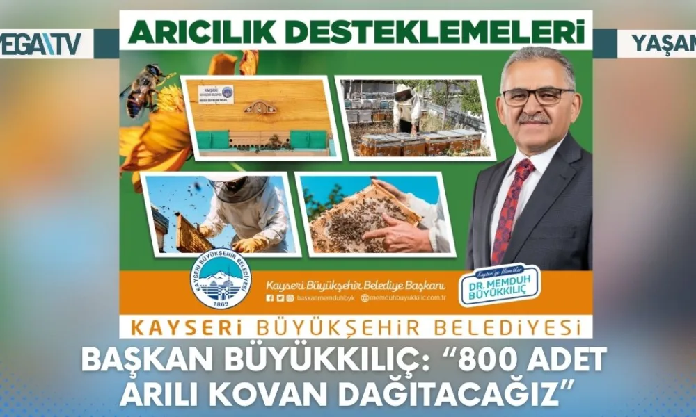 Web Haber Şablon (69)