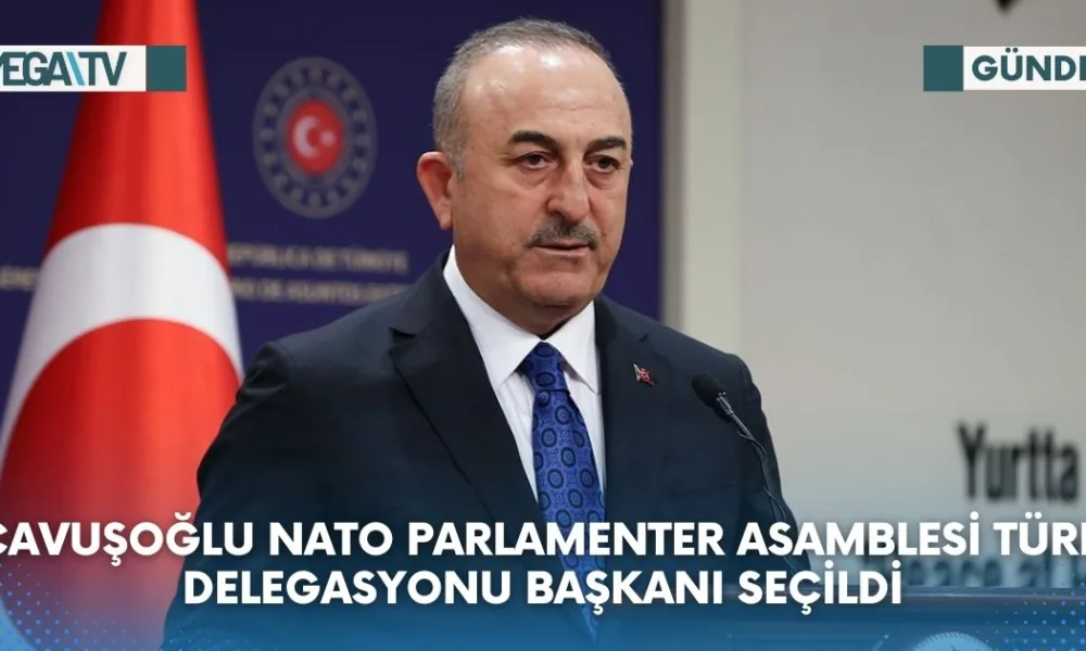 ÇAVUŞOĞLU NATO PARLAMENTER ASAMBLESİ TÜRK DELEGASYONU BAŞKANI SEÇİLDİ - Mega TV Web Haber Şablon (94)