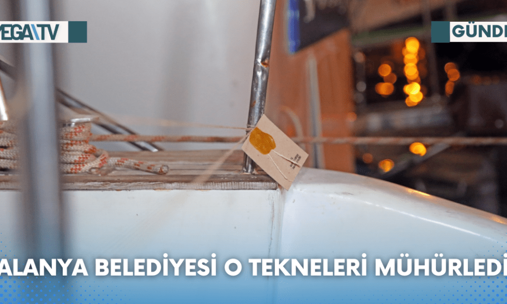 Web Haber Şablon - 2023-08-08T094914.459