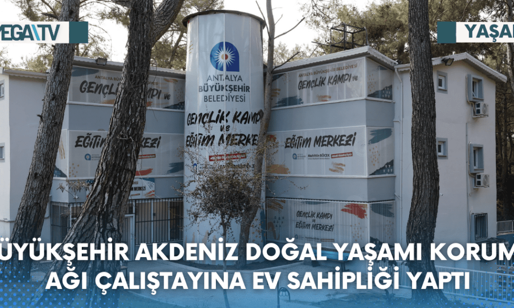 Web Haber Şablon - 2023-08-10T124138.476