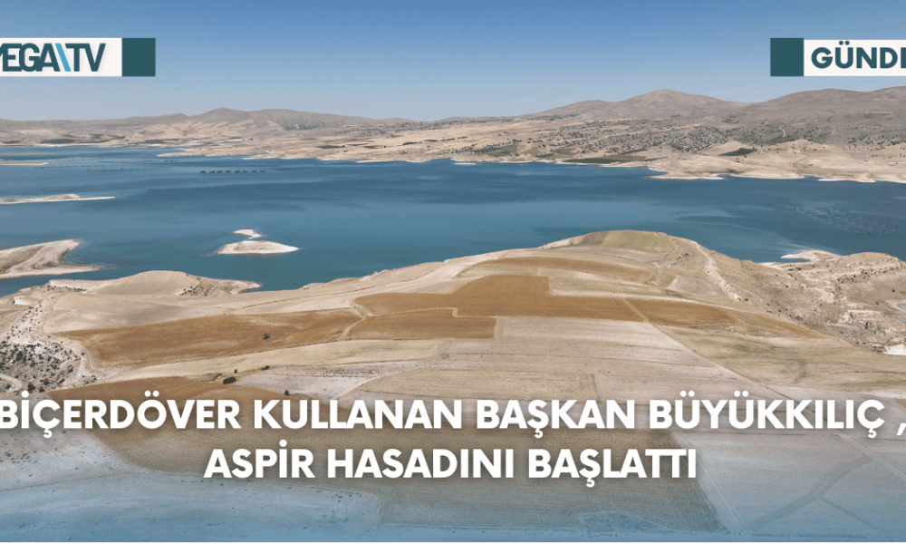 Biçerdöver Kullanan Başkan Büyükkılıç , Aspir Hasadını Başlattı - Mega TV Web Haber Şablon - 2023-08-22T153509.480