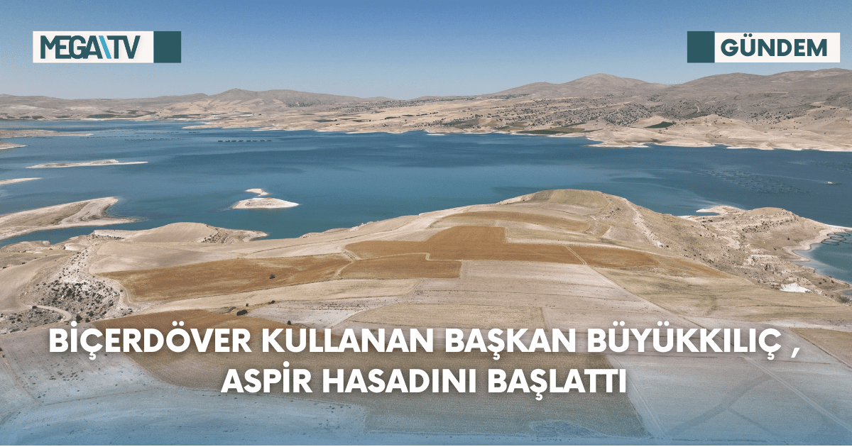 Biçerdöver Kullanan Başkan Büyükkılıç , Aspir Hasadını Başlattı