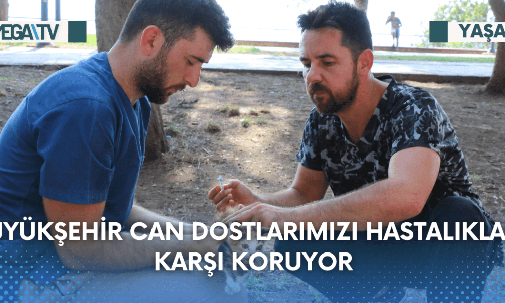 Büyükşehir can dostlarımızı hastalıklara karşı koruyor - Mega TV Web Haber Şablon - 2023-08-28T124927.475