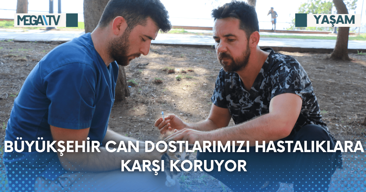 Büyükşehir can dostlarımızı hastalıklara karşı koruyor