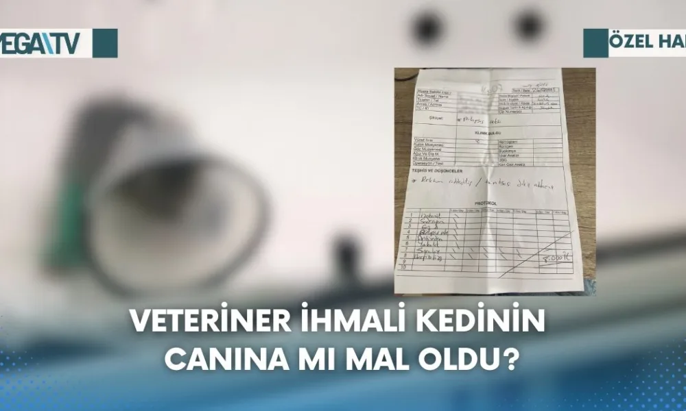 Web Haber Şablon (27)