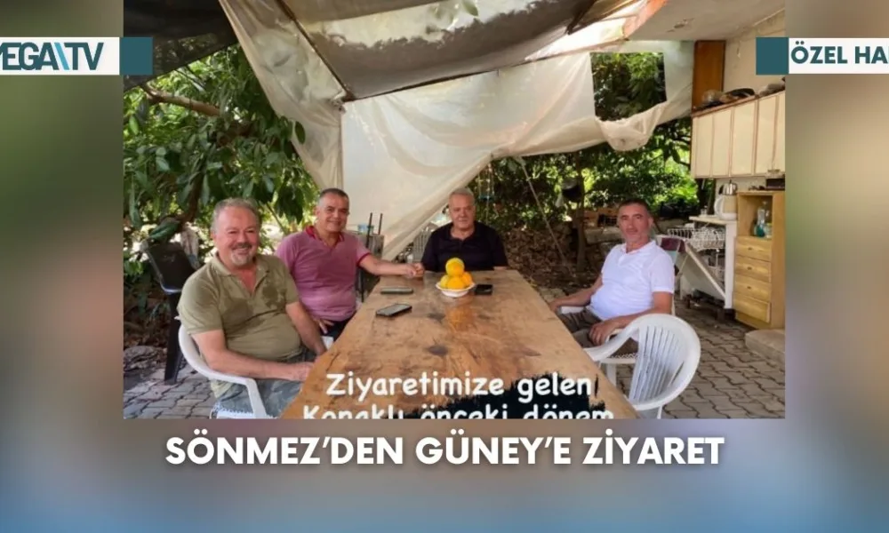 Web Haber Şablon (46)