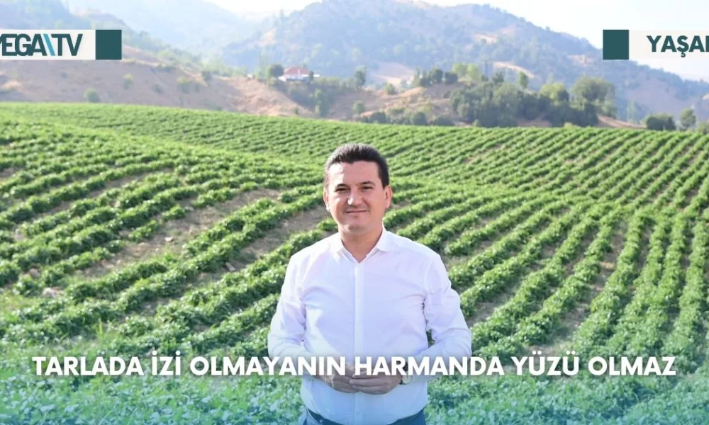 Tarlada İzi Olmayanın Harmanda Yüzü Olmaz - Mega TV Web Haber Şablon (59)