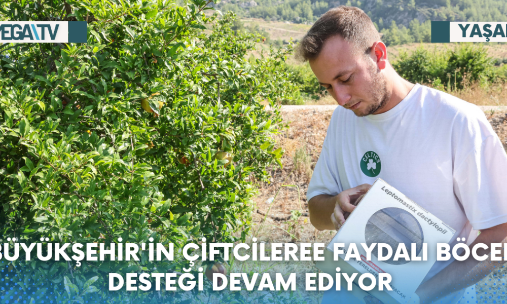 BÜYÜKŞEHİR'İN ÇİFTCİLEREE FAYDALI BÖCEK DESTEĞİ DEVAM EDİYOR - Mega TV Web Haber Şablon (68)