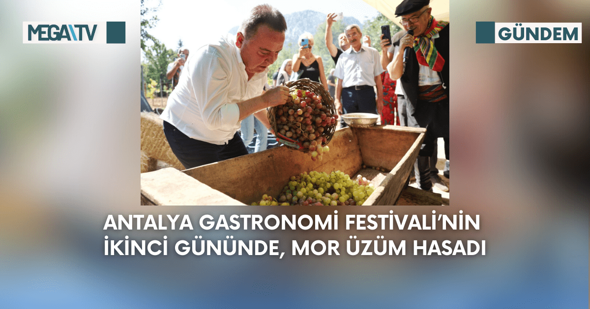 Antalya Gastronomi Festivali’nin İkinci Gününde Mor Üzüm Hasadı