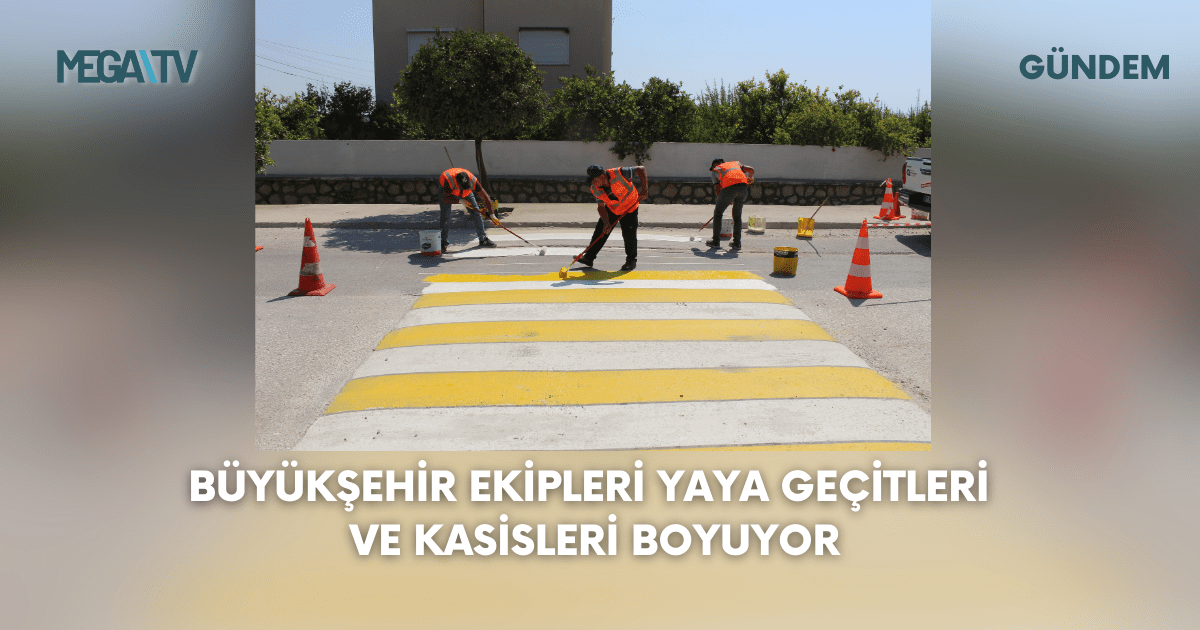 Büyükşehir Ekipleri Yaya Geçitleri Ve Kasisleri Boyuyor
